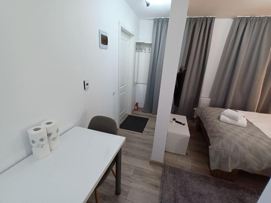 Old Town Studio 1 Apartment Nr 4 Baia Mare Exterior photo