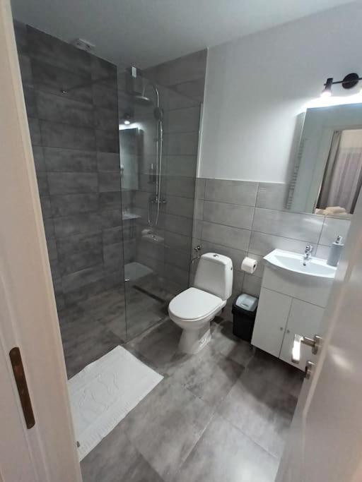Old Town Studio 1 Apartment Nr 4 Baia Mare Exterior photo