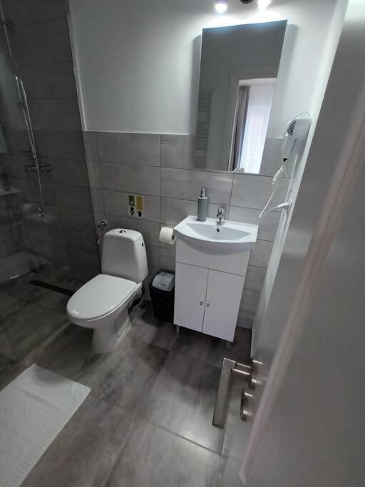 Old Town Studio 1 Apartment Nr 4 Baia Mare Exterior photo