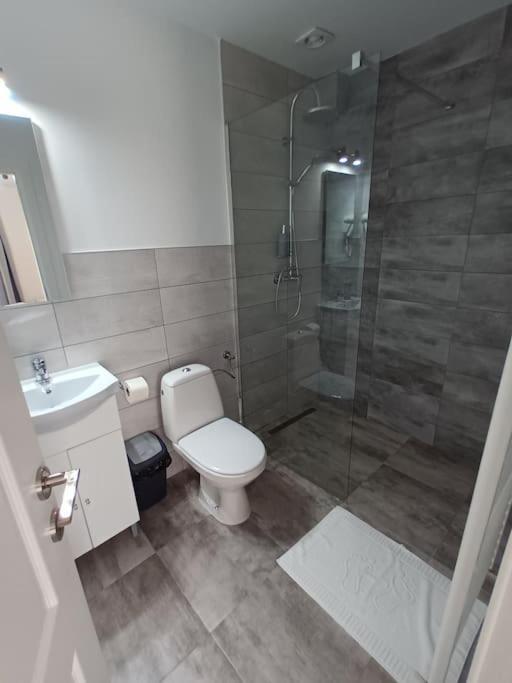 Old Town Studio 1 Apartment Nr 4 Baia Mare Exterior photo